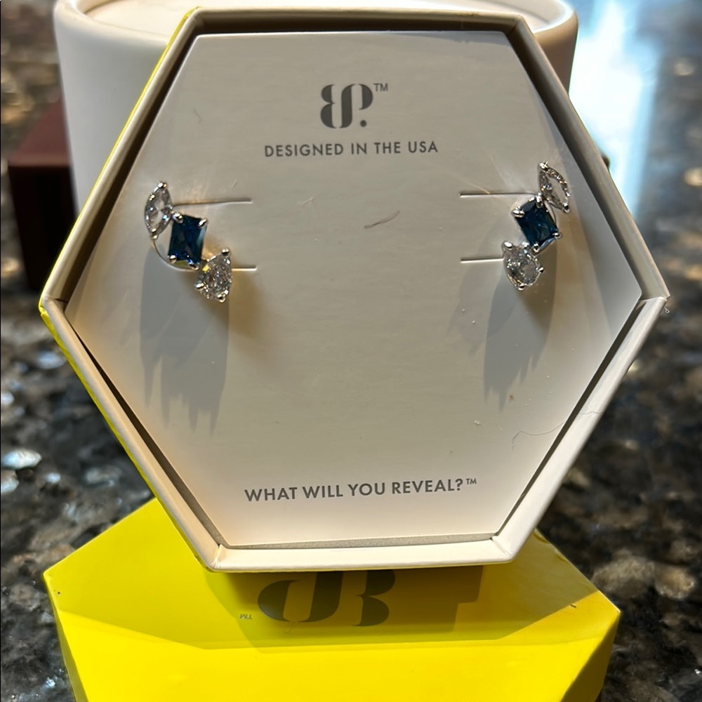 Elegant Blue and Silver Earrings
